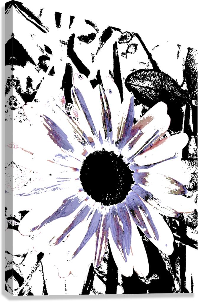Abstract Large Blooming Daisy  Canvas Print