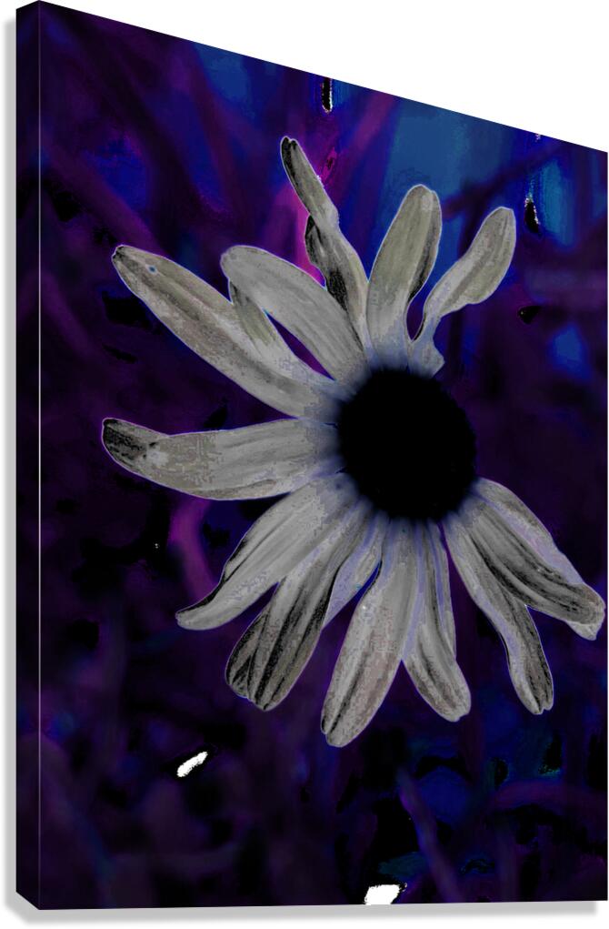 Abstract Neon Dark Daisy Canvas Print