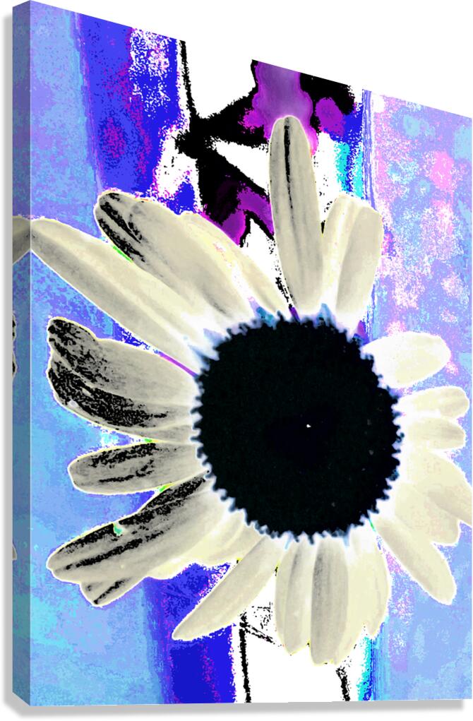 Abstract Vibrant Daisy Canvas Print