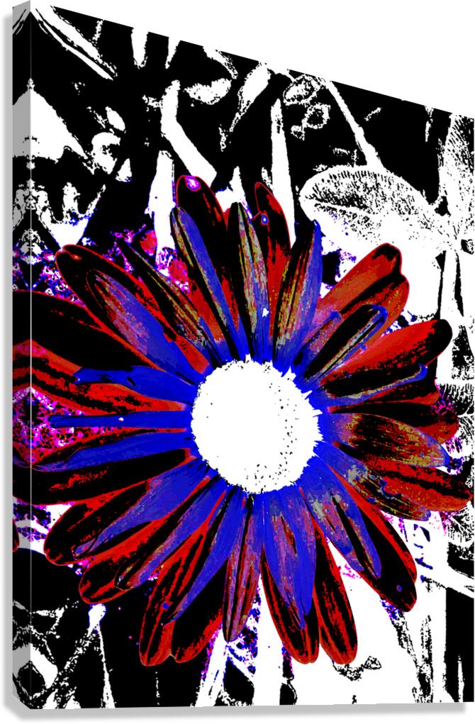Abstract Vibrant Red and Blue Daisy Canvas Print