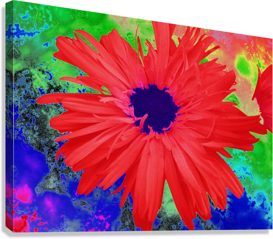 Abstract Psychedelic Daisy Canvas Print