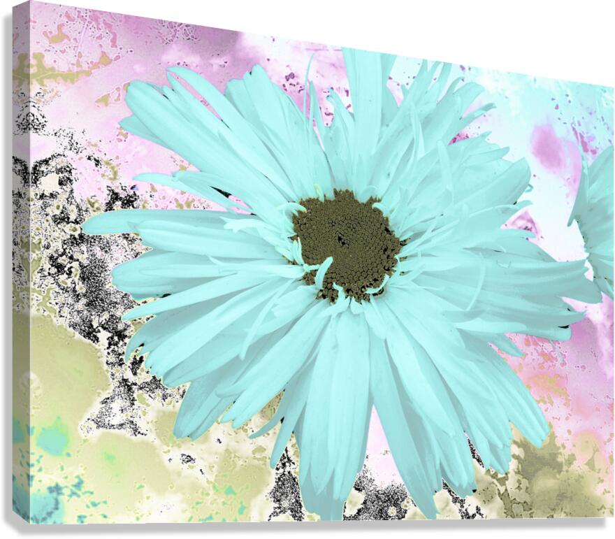Abstract Pastel Daisy Flower Canvas Print