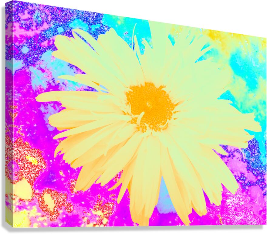 Abstract Pastel Daisy Canvas Print