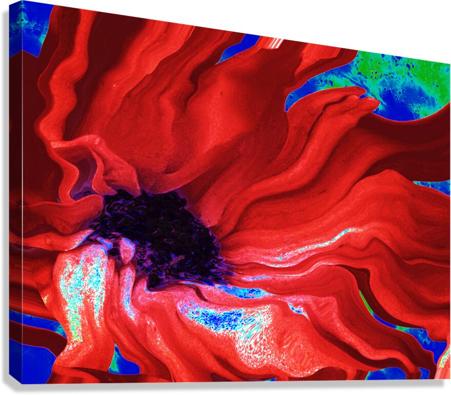 Abstract Dark Centred Red Flowing Daisy Flower Canvas Print