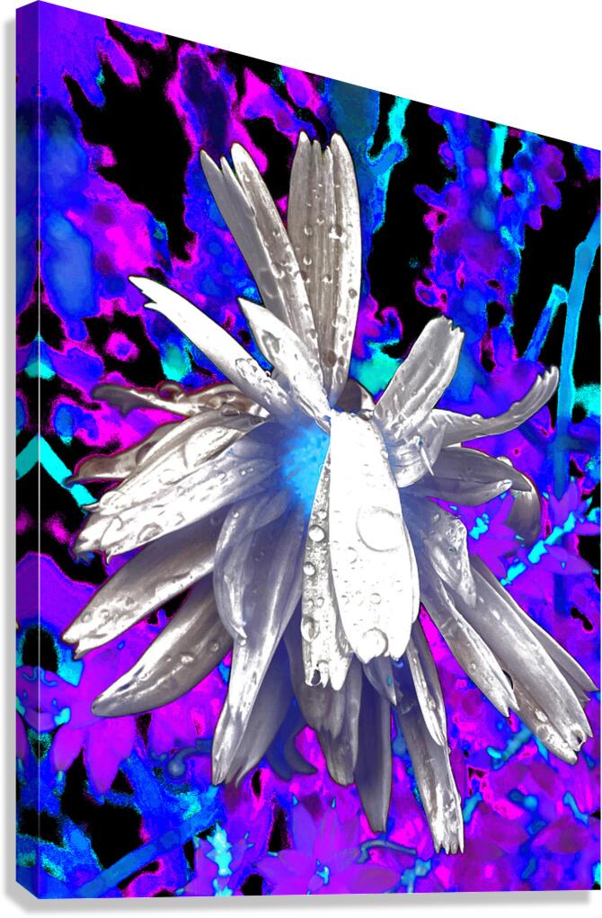 Abstract Monochrome Daisy Flower on a Psychedelic Background Canvas Print