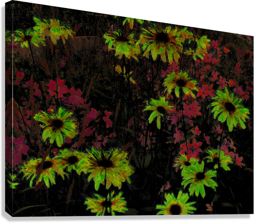Abstract Surreal Daisy Garden Canvas Print