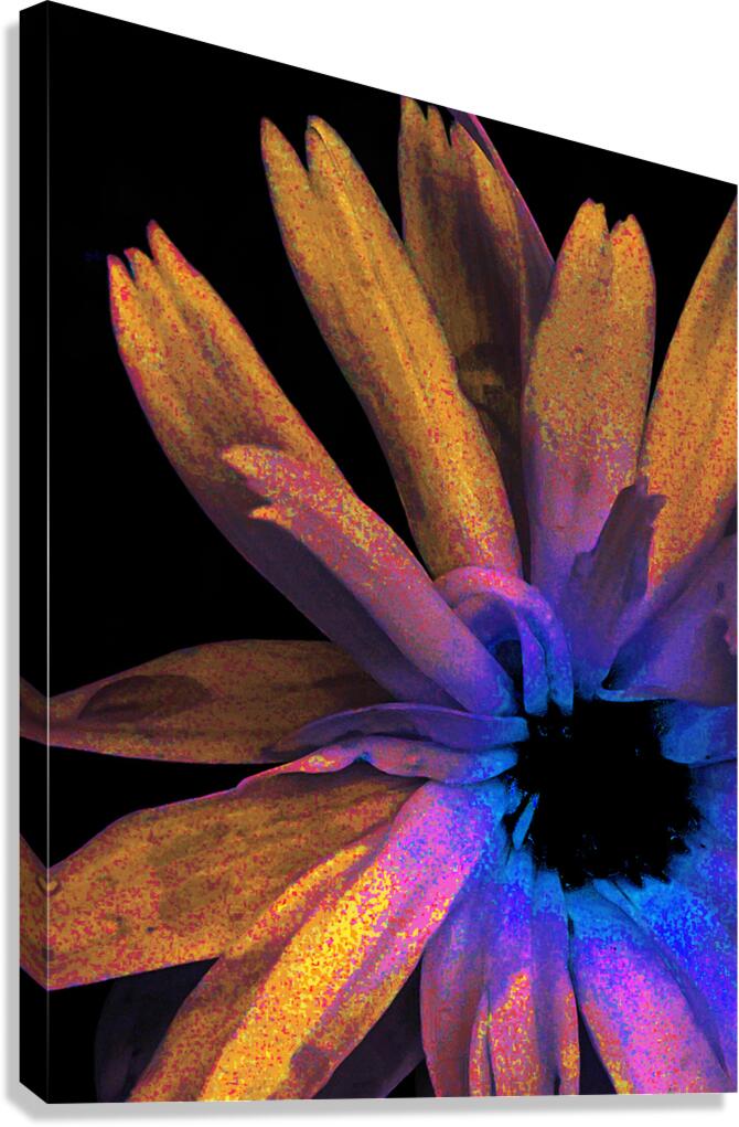 Abstract Daisy in Yellow Blue and Pink Canvas Print
