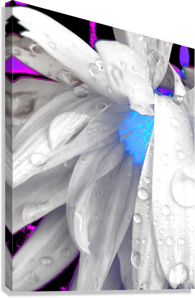 Abstract Daisy Blue Light Canvas Print