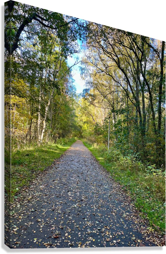 Scottish Highlands Autumn Walk Canvas Print