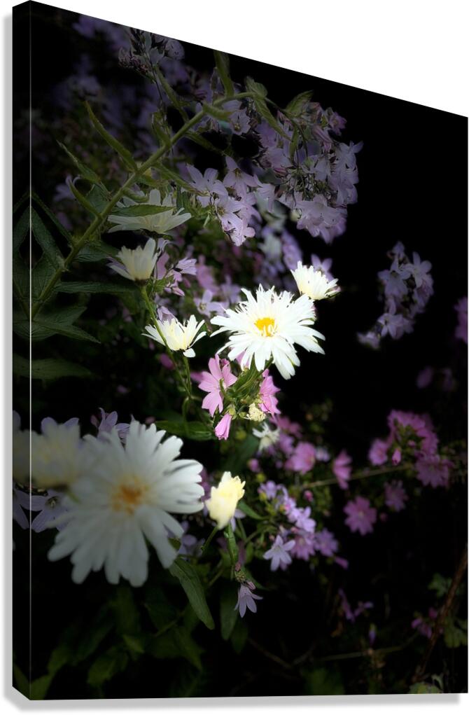 Cottage Garden in the Darkness Canvas Print