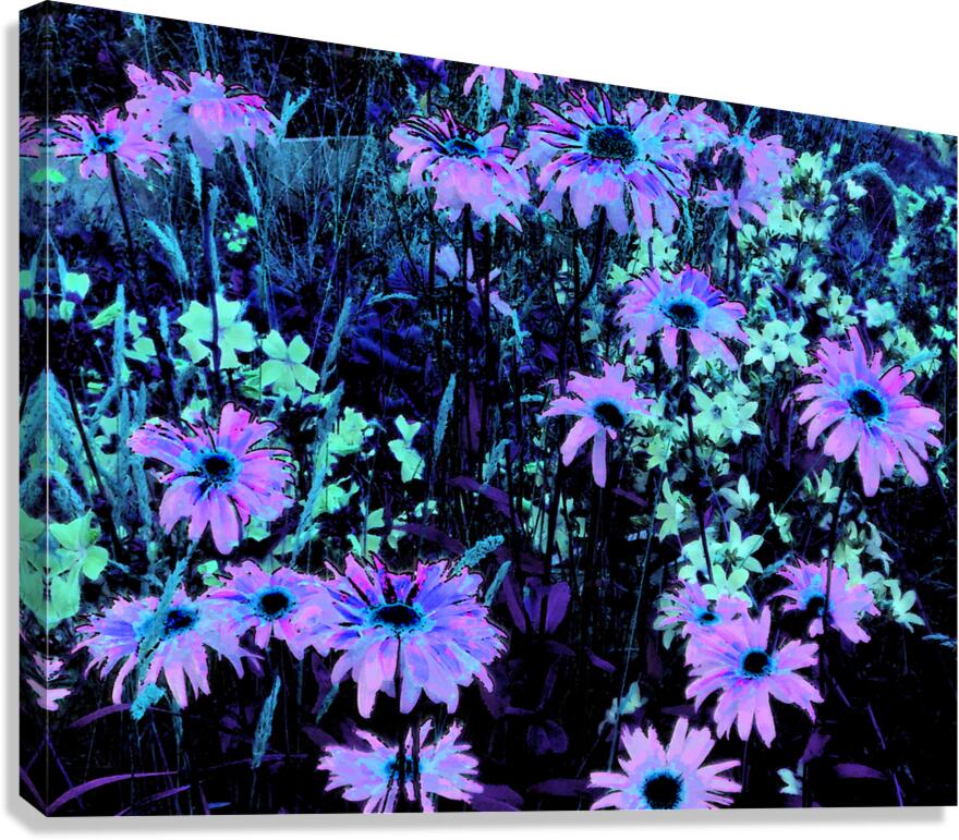 Impressionistic Vibrant Multitude of Daises Canvas Print