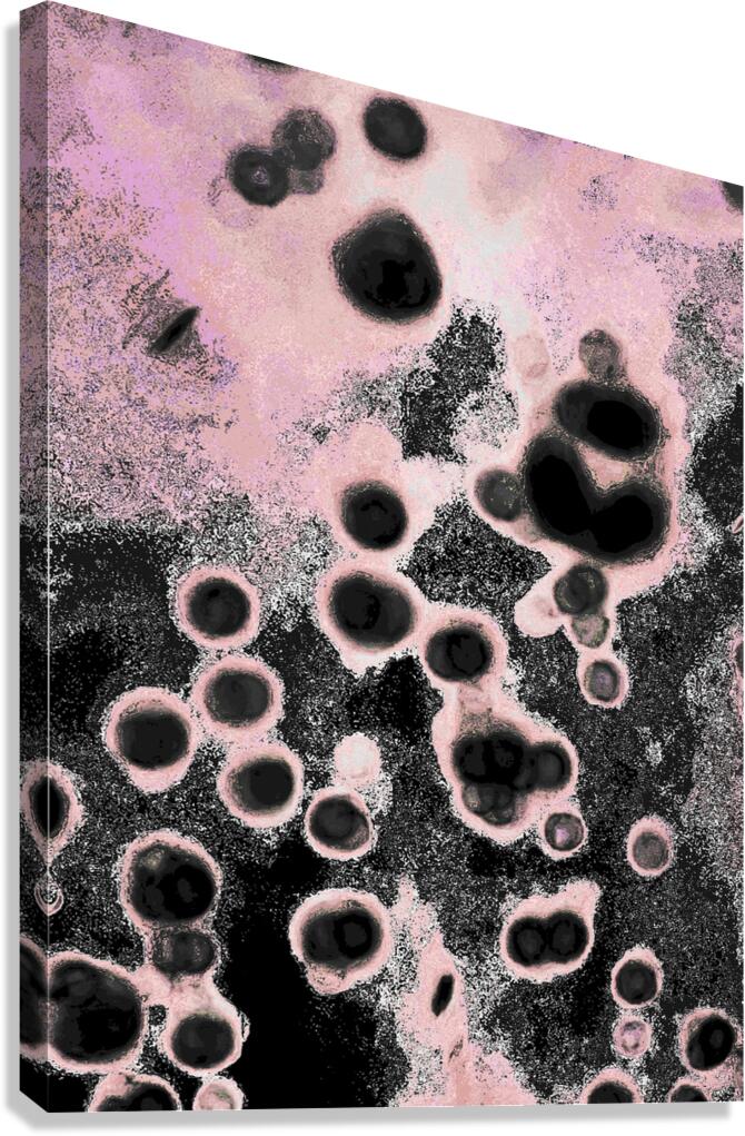 Abstract Circular Shapes in Pink and Black Canvas Print