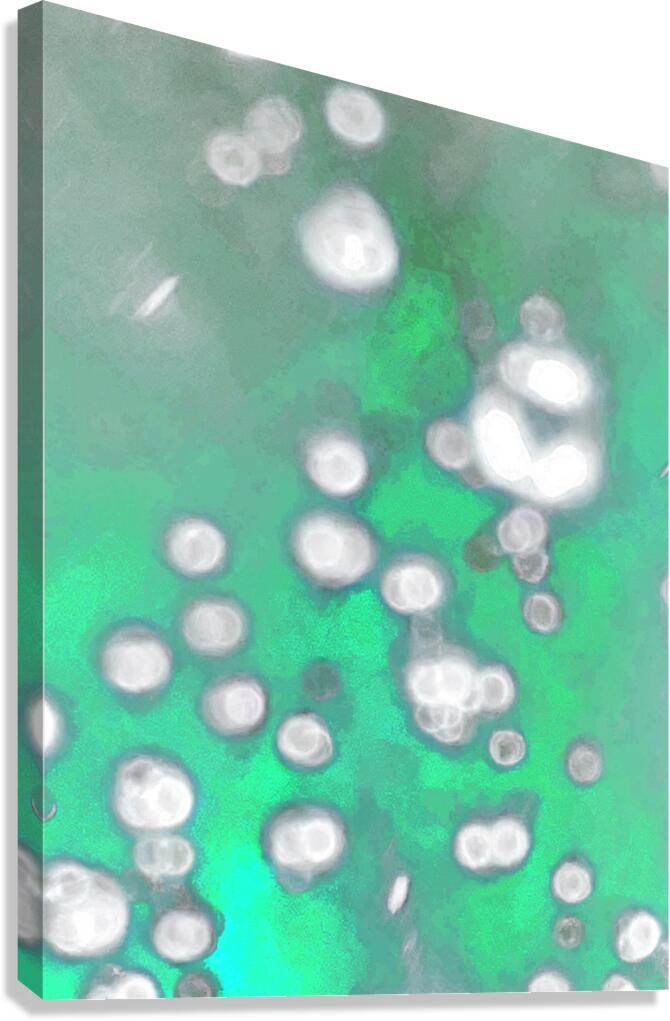 Abstract White Circular Shapes Floating in Green  Canvas Print