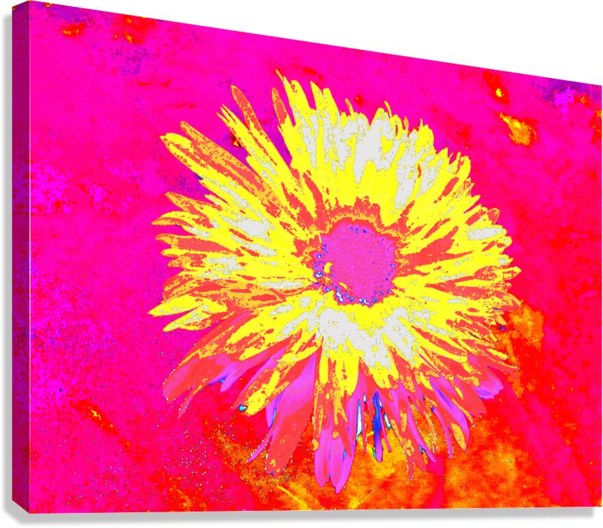 Abstract Daisy Yellow Bloom Canvas Print