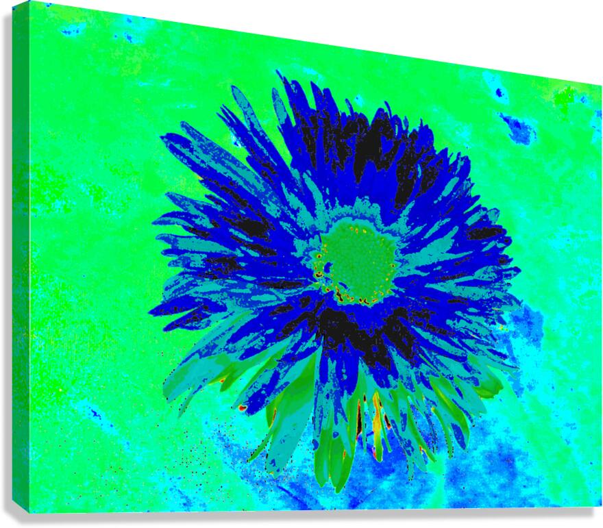 Abstract Vibrant Green and Blue Daisy Flower Canvas Print