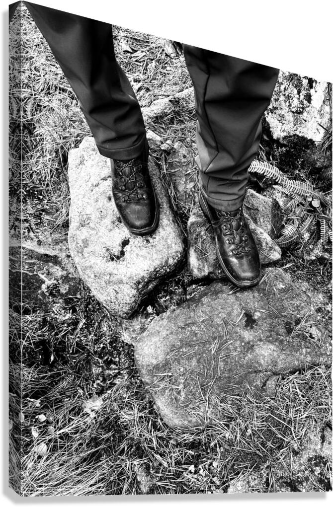 Scenes from the Trail- On the Trail in the Scottish Highlands Canvas Print