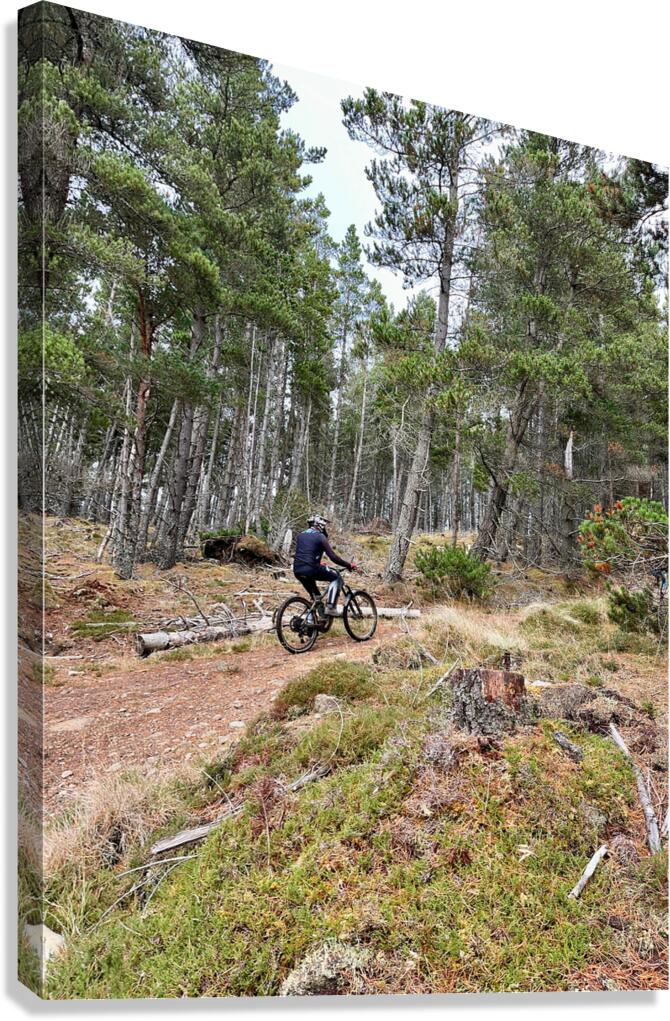Scenes from the Trail- Onwards and Upwards Through the Scottish Highlands Canvas Print