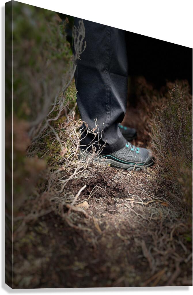 Scenes from the Trail-Standing Canvas Print