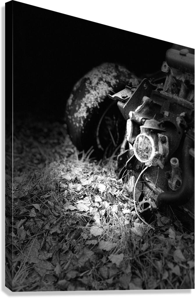 Scenes from the Trail- Disintegration Canvas Print