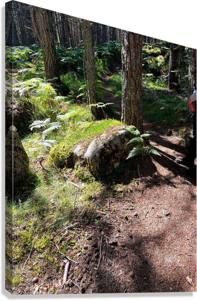Scenes from the Trail- On the Edge Canvas Print