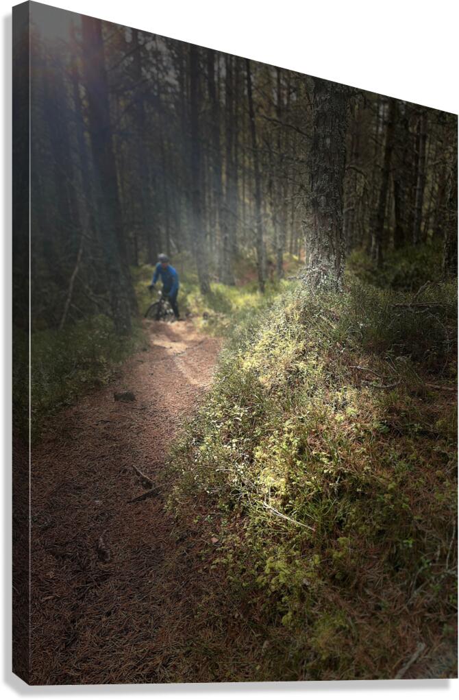 Scenes from the Trail  Unexpected Meetings  Canvas Print