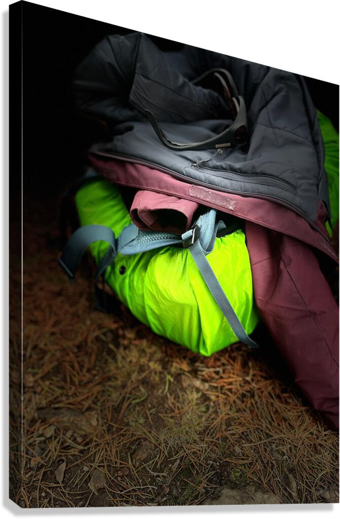 Scenes from the Trail -  Gear  Canvas Print