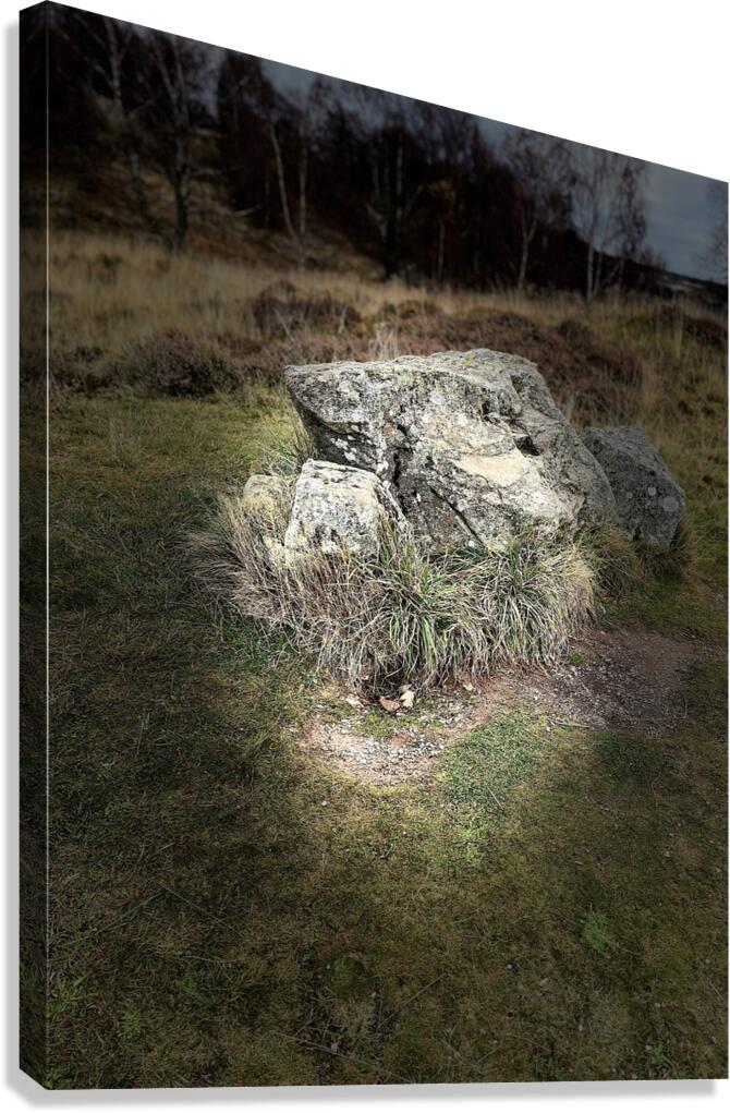Scenes from the Trail- Boulder Seat Canvas Print