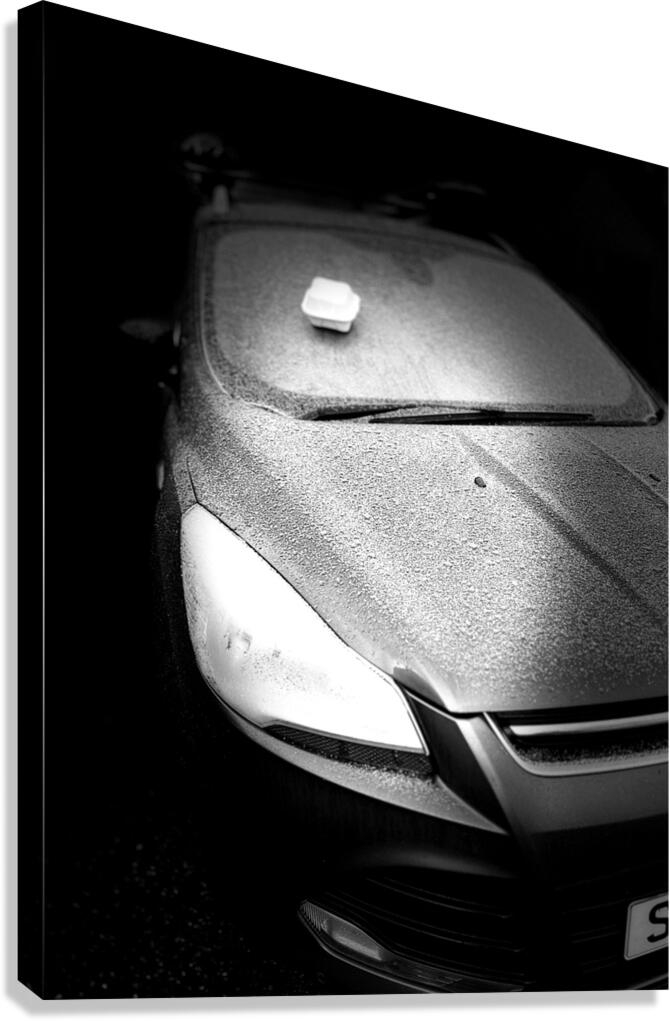 Everyday Lifes Moments  Random Placement   Canvas Print