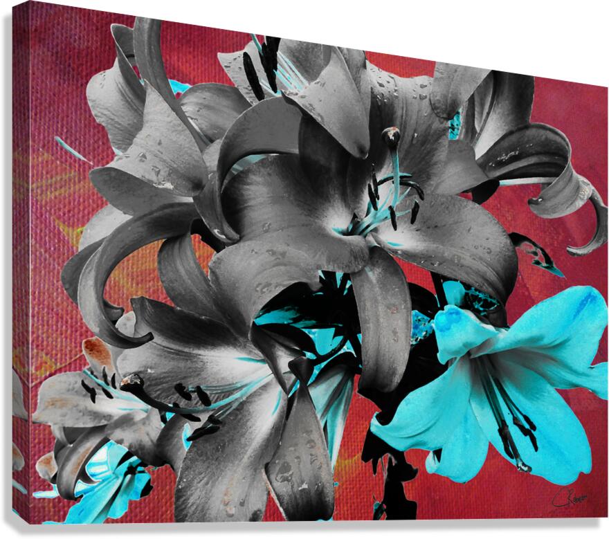 Darkly Inverted Poster Colour Lilies Canvas Print