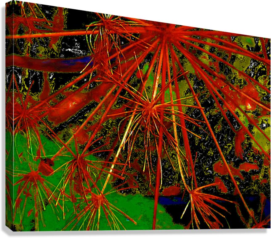 Abstract Angelica Canvas Print