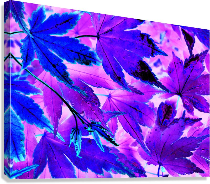 Abstract Neon Purple and Blue Creative Leaves  Canvas Print