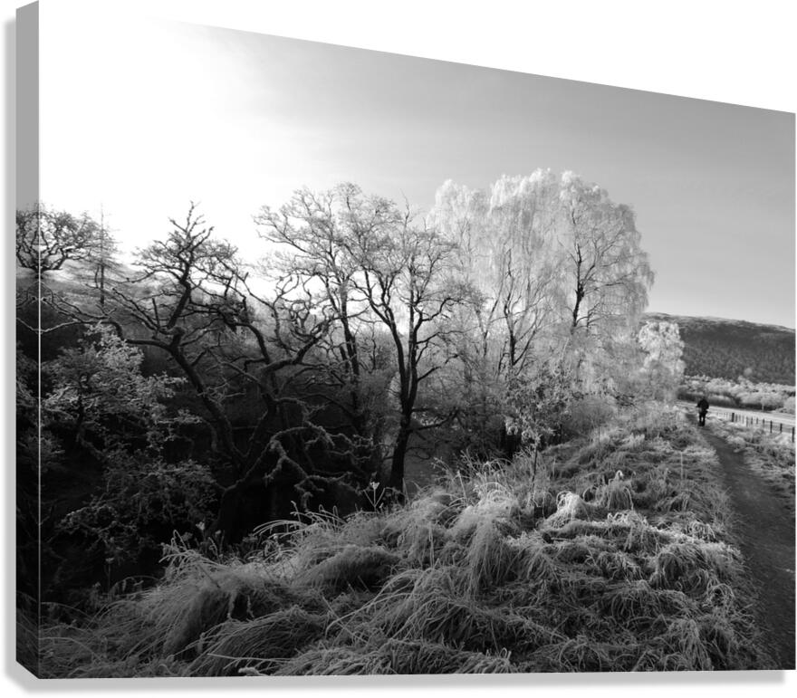 Frosty Morning in the Scottish Highlands Canvas Print