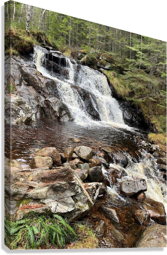 Winters Secret Waterfall in the Scottish Highlands Canvas Print