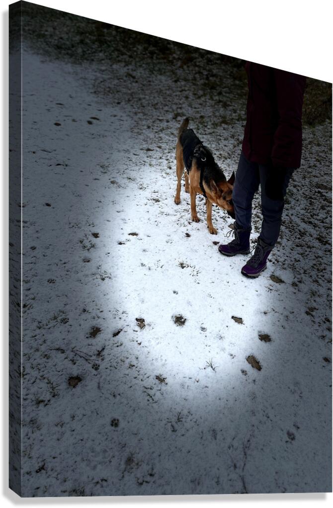 Scenes from the Trail- Hunting for Treats Canvas Print