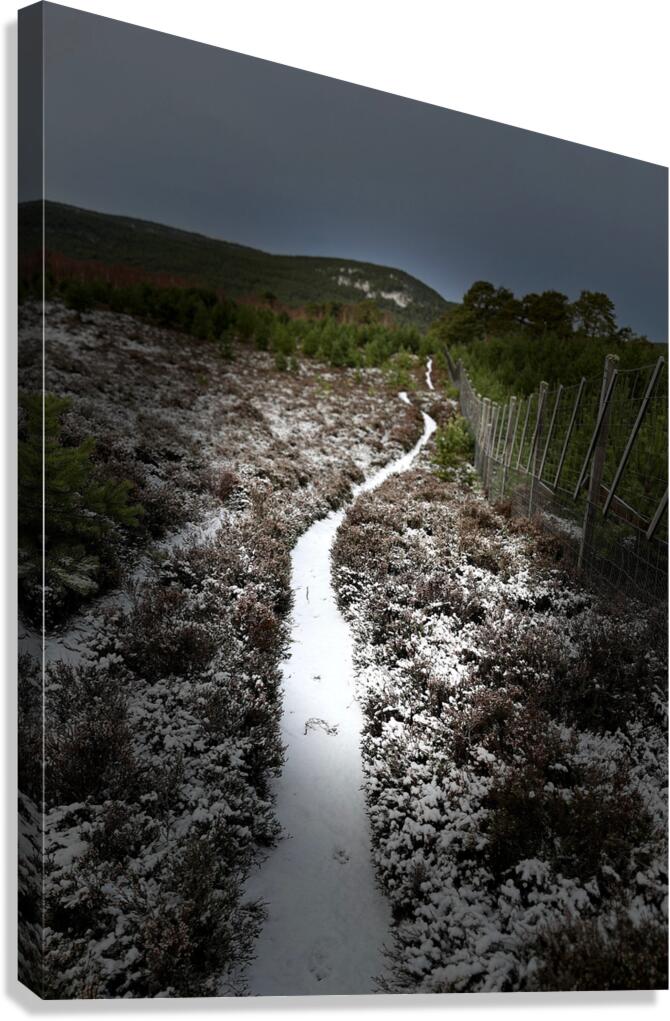 Scenes from the Trail- Snowy Path Canvas Print