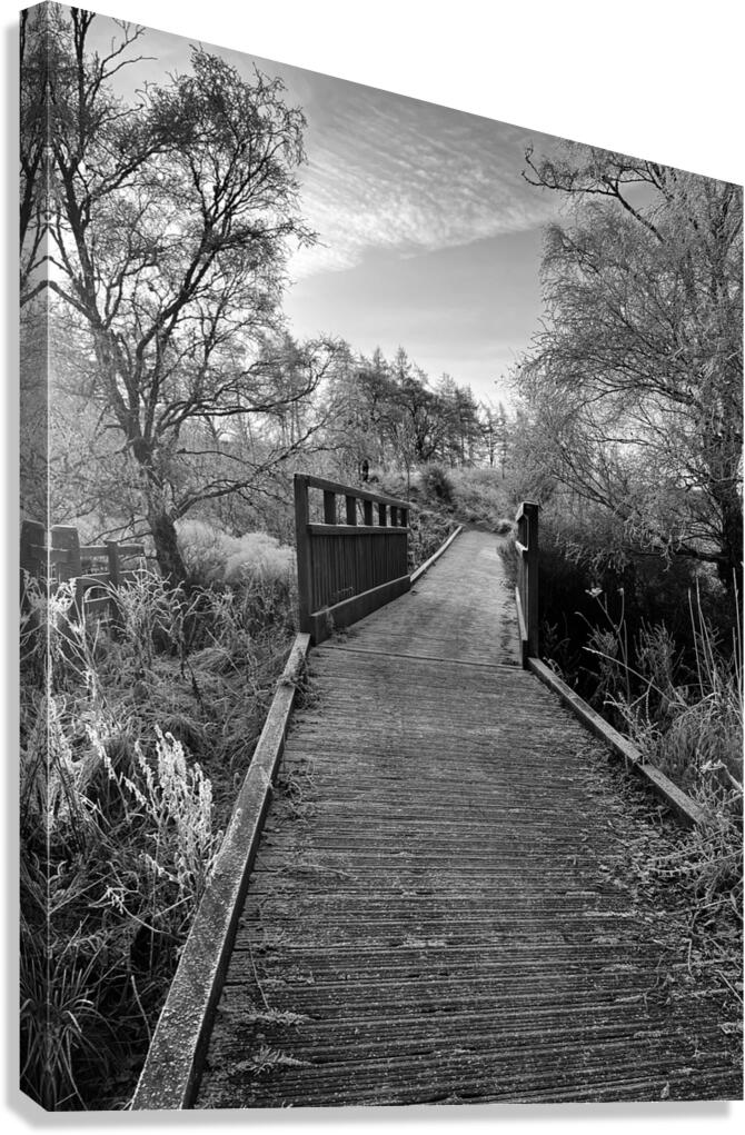A Frosty Nature Walk Through The Scottish Highlands  Canvas Print