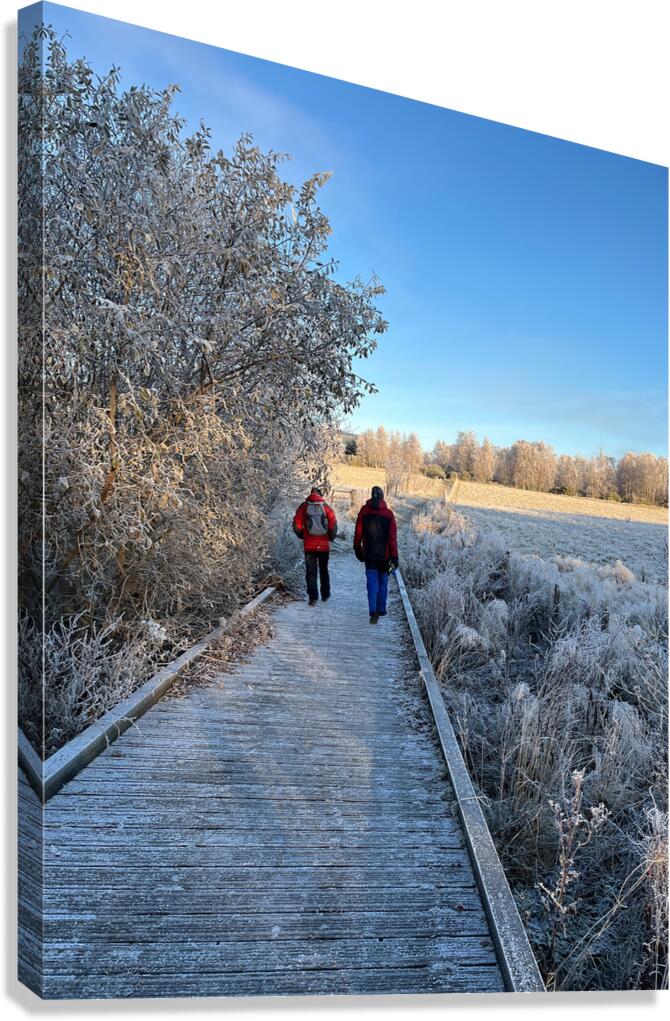 Frosty Nature Path Through the Scottish Highlands Canvas Print