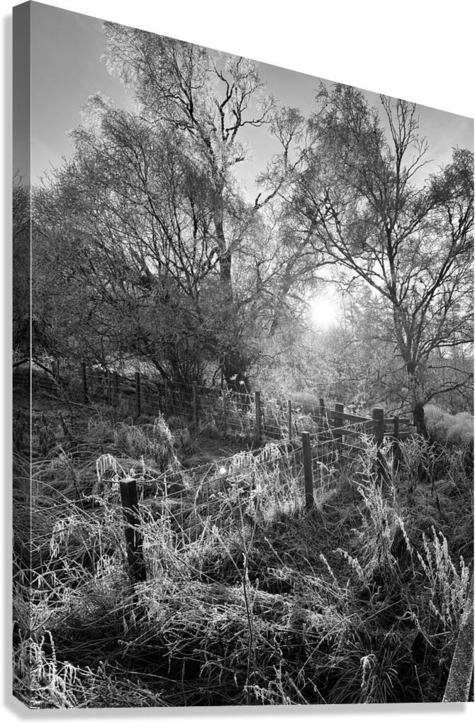 Winters Frosty Embrace for the Scottish Highlands Canvas Print