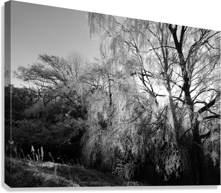  Black and White Winter Beauty in the Scottish Highlands Canvas Print