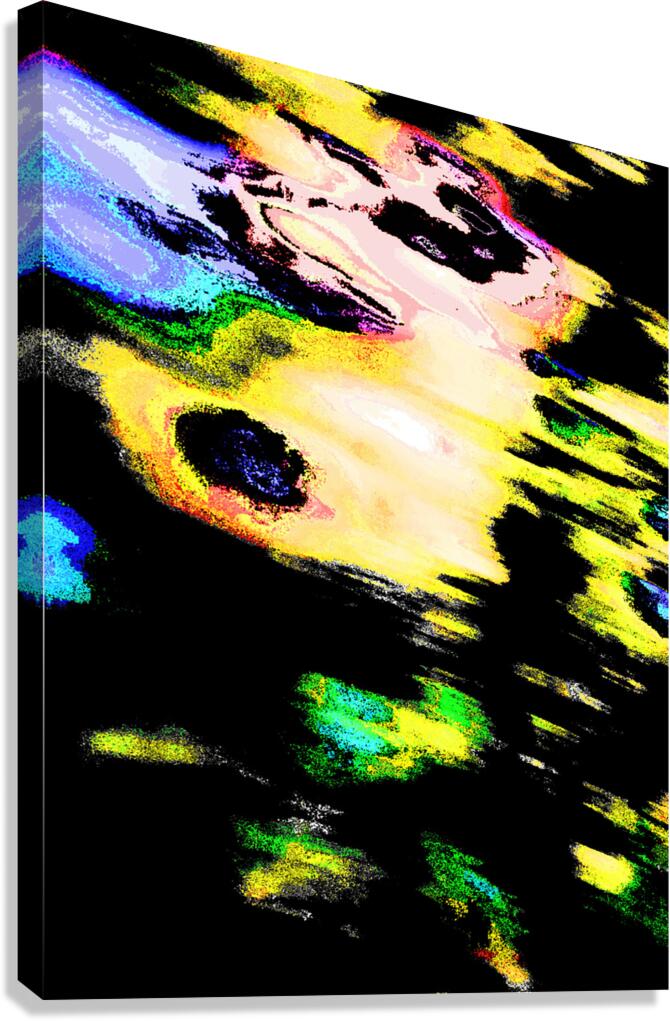 Abstract Chaotic Hues Canvas Print