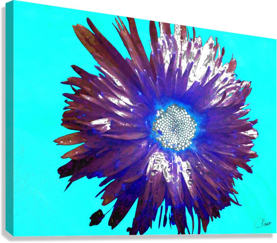Abstract Purple and Blue Daisy Canvas Print
