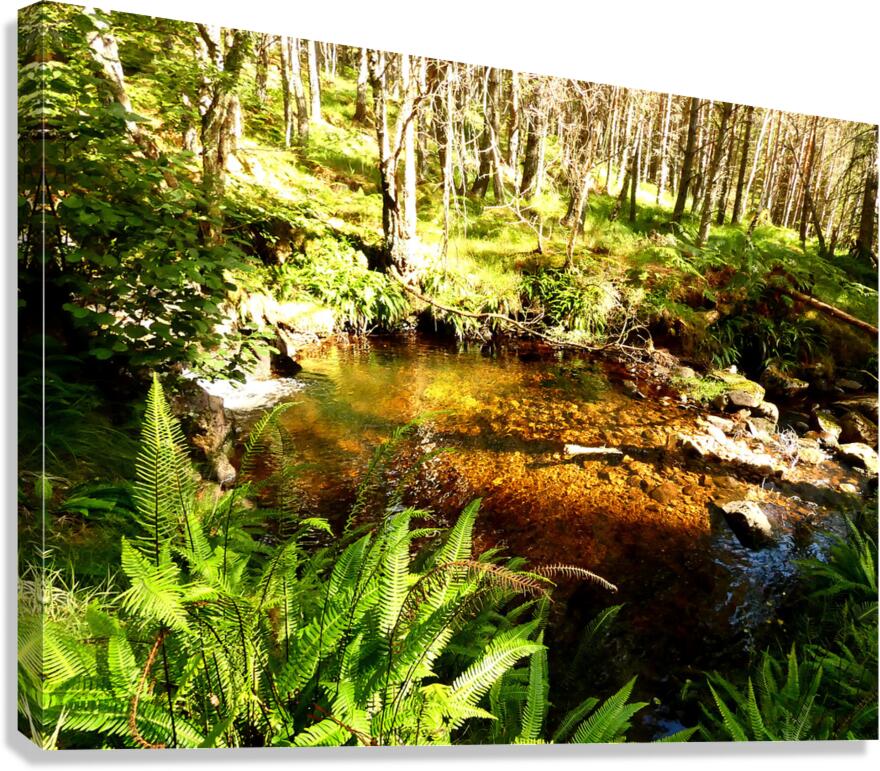 A Secret Summers Retreat in the Scottish Highland Canvas Print