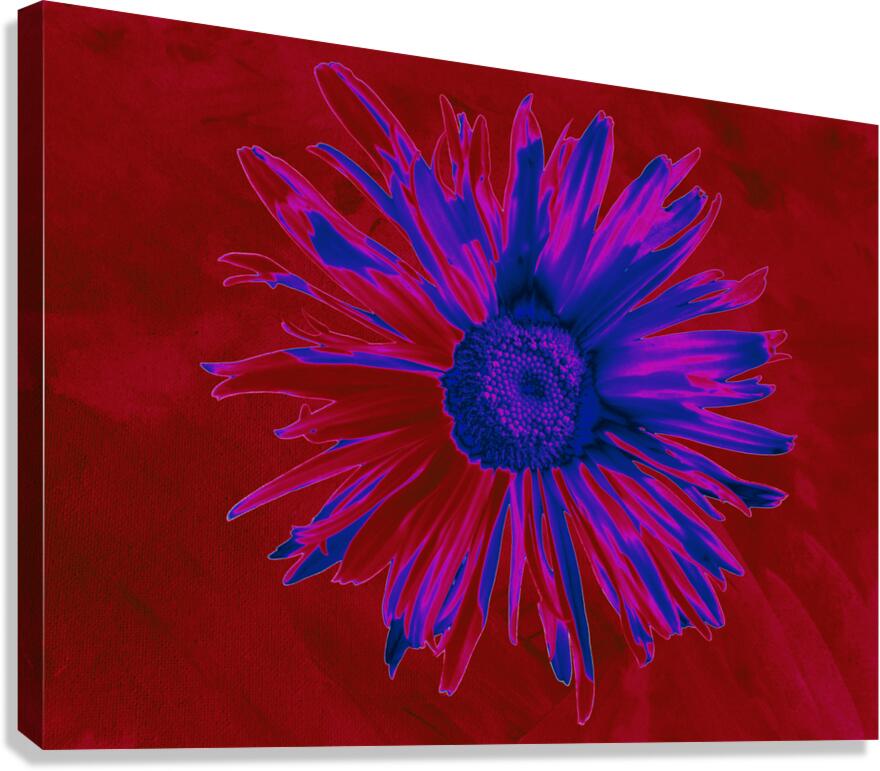 Abstract Neon Daisy Canvas Print