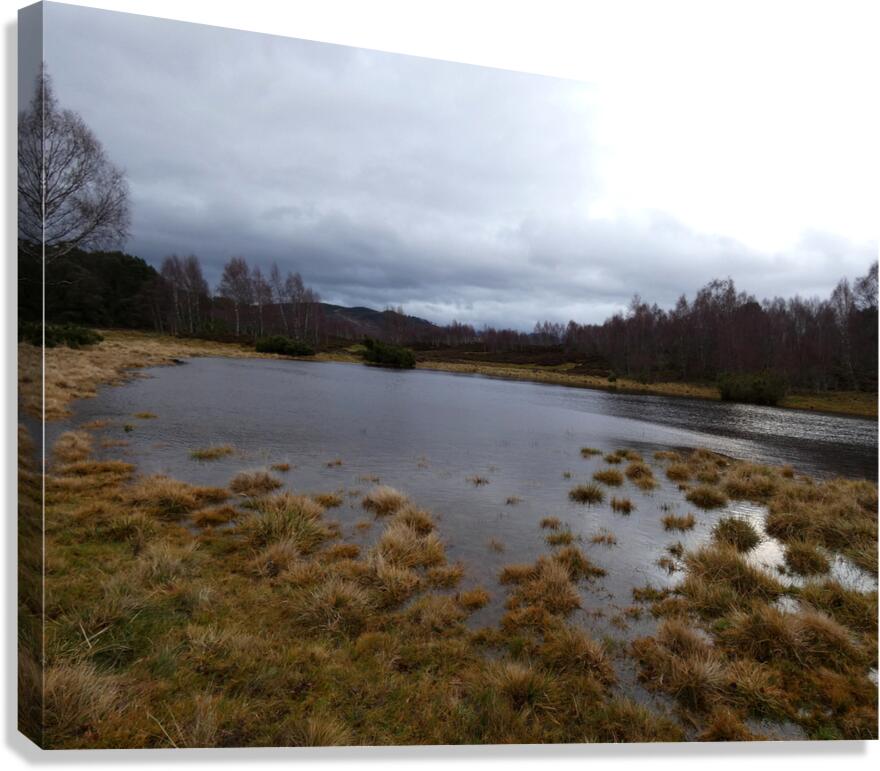 Winters Moody Scottish Highlands  Canvas Print