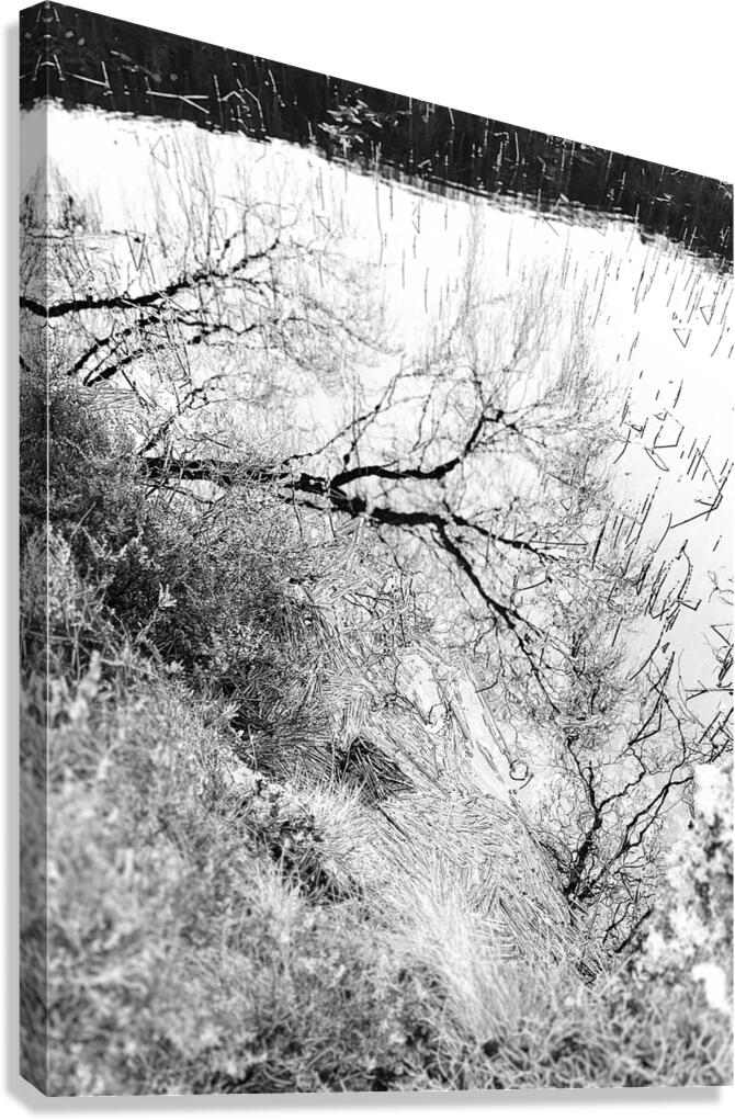 Scenes from the Trail- Monochrome Winter Lochan Reflections Canvas Print