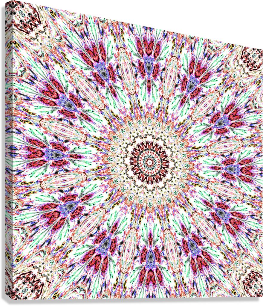 Abstract Kaleidoscope Mandala Pattern Red and Pink Canvas Print