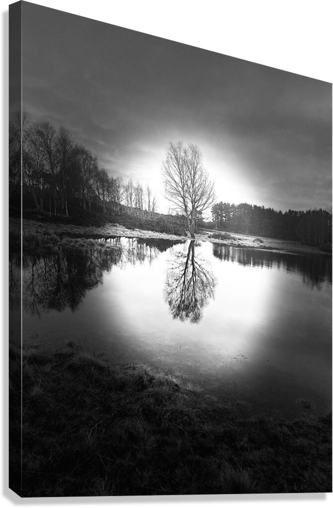 Scenes from the Trail-Winter Birch Tree Reflections in the Scottish Highlands  Canvas Print