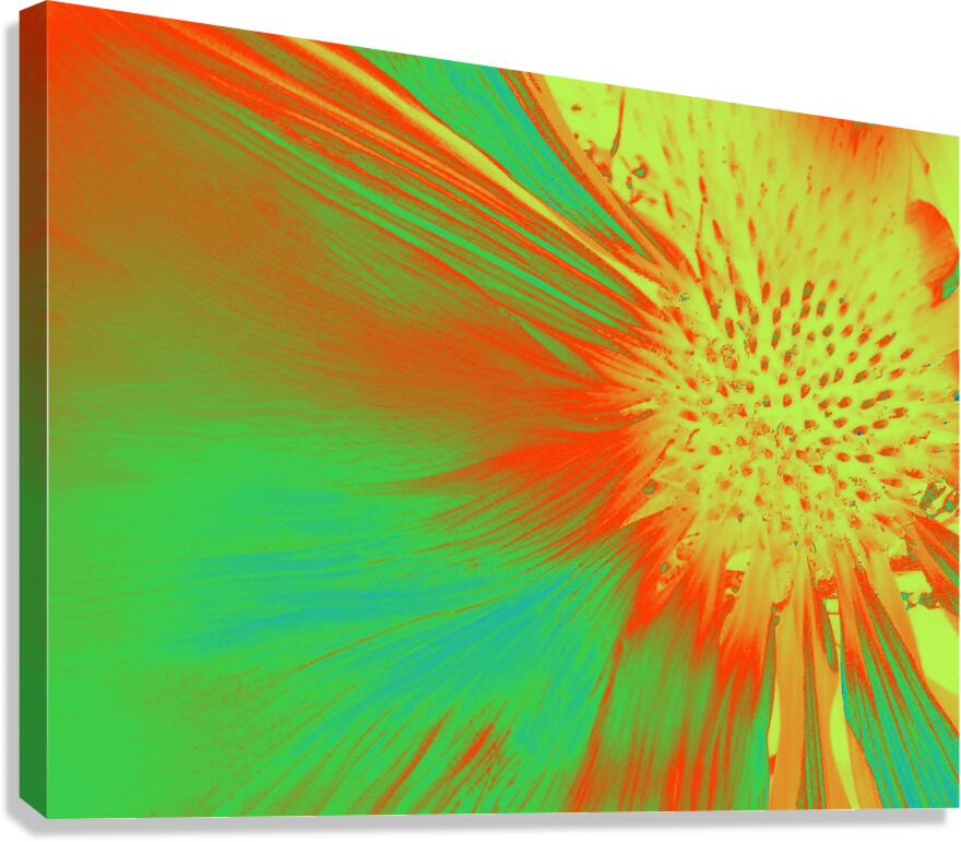 Abstract Cone Flower Canvas Print