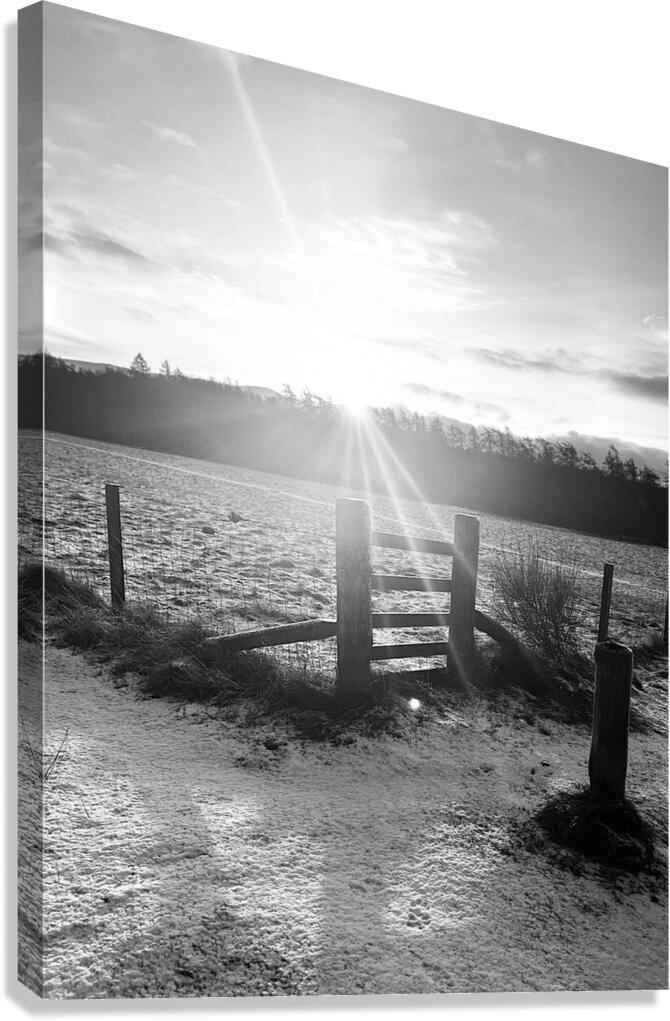 Winters Sunshine for the Scottish Higlands    Canvas Print
