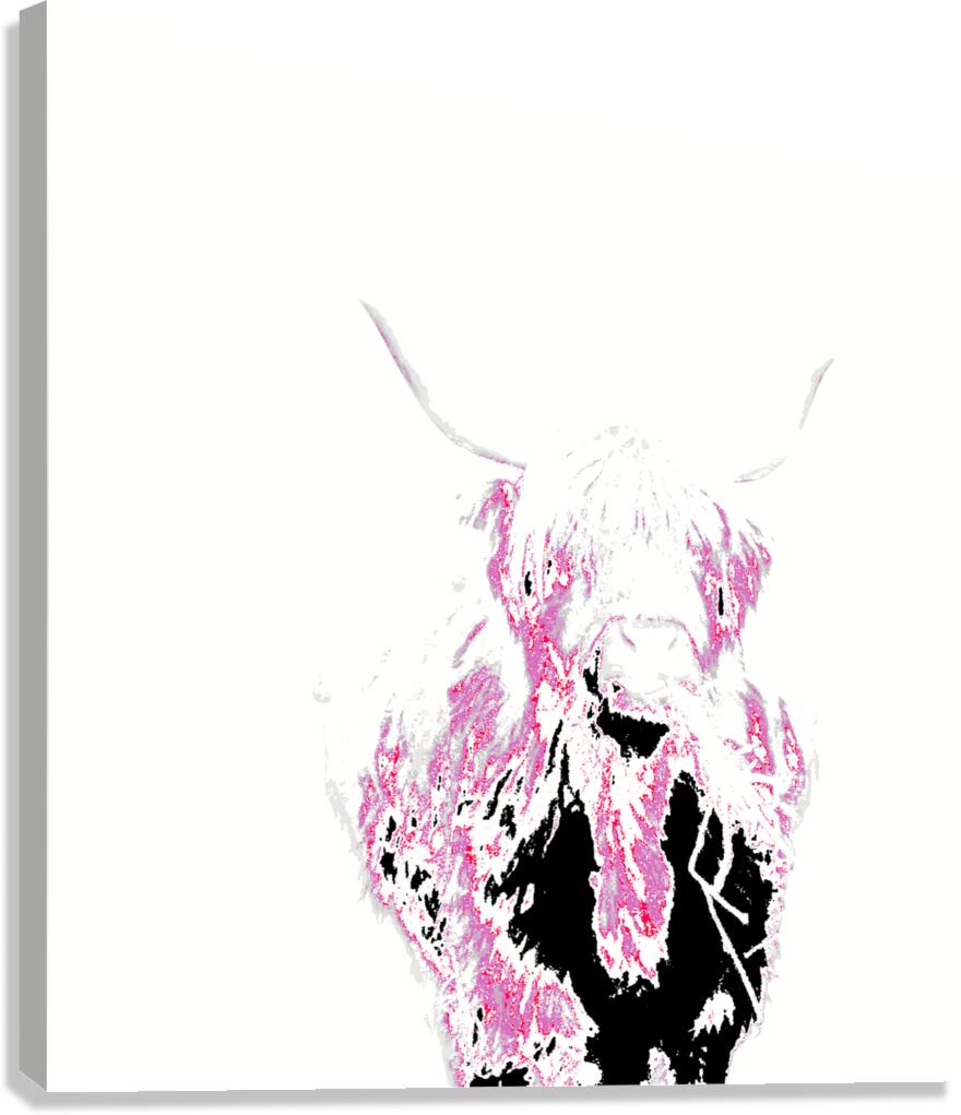 Abstract Pink Minimalist Highland Cow Canvas Print